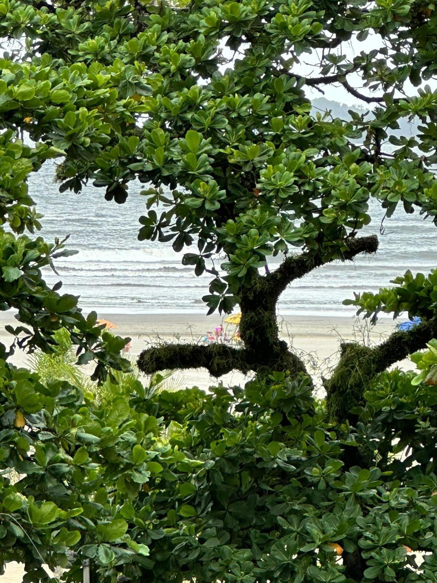 Ap Pe Na Areia Vista Parcial Mar Apartment Santos  Bagian luar foto